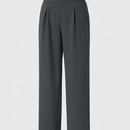 Uniqlo Wide-Fit Pleated Pants