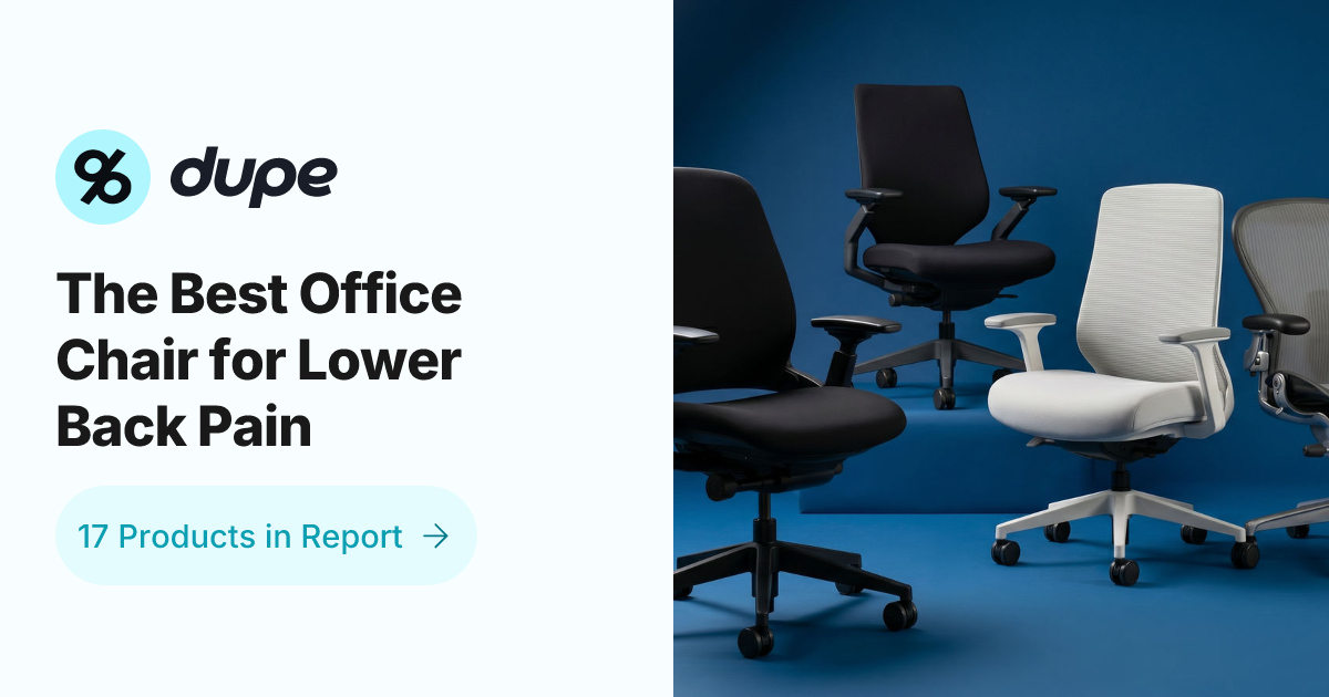 The Best Office Chair for Lower Back Pain | Dupe.com